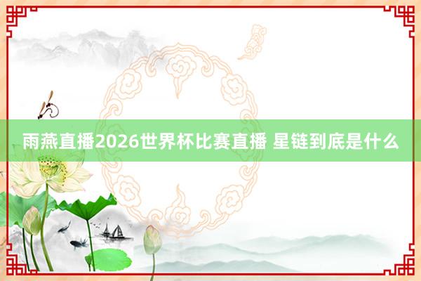 雨燕直播2026世界杯比赛直播 星链到底是什么