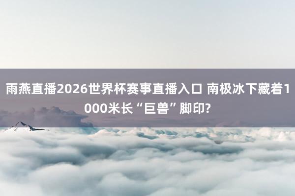雨燕直播2026世界杯赛事直播入口 南极冰下藏着1000米长“巨兽”脚印?