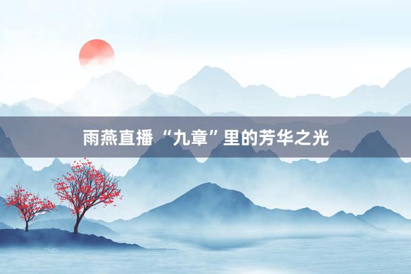 雨燕直播 “九章”里的芳华之光