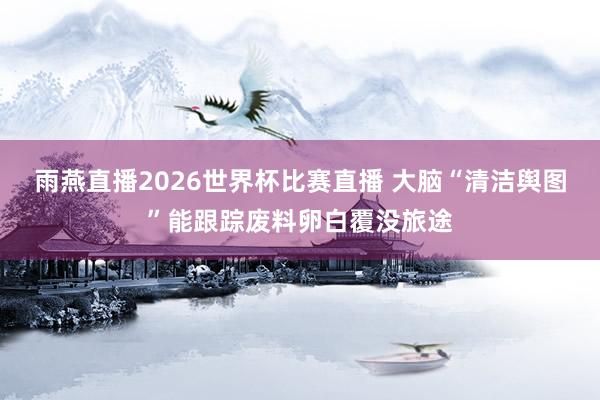雨燕直播2026世界杯比赛直播 大脑“清洁舆图”能跟踪废料卵白覆没旅途