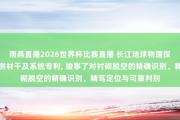 雨燕直播2026世界杯比赛直播 长江地球物理探伤肯求衬砌脱空检测材干及系统专利, 竣事了对衬砌脱空的精确识别、精笃定位与可靠判别