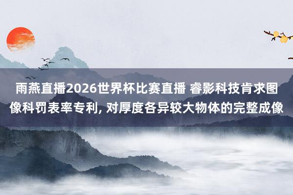 雨燕直播2026世界杯比赛直播 睿影科技肯求图像科罚表率专利, 对厚度各异较大物体的完整成像
