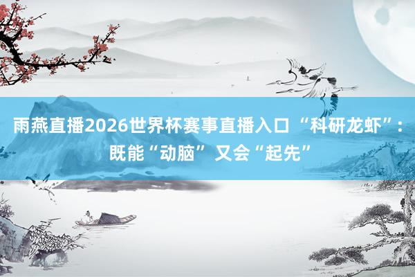 雨燕直播2026世界杯赛事直播入口 “科研龙虾”: 既能“动脑” 又会“起先”