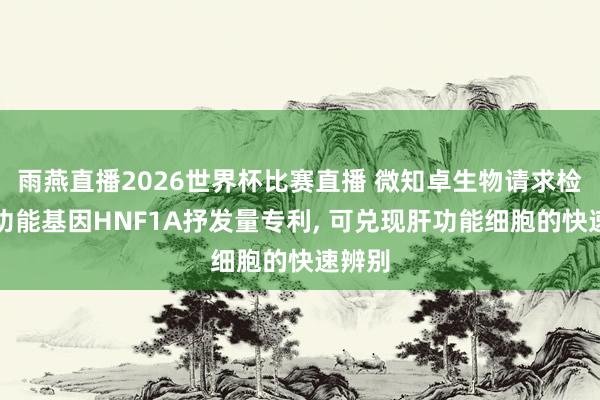 雨燕直播2026世界杯比赛直播 微知卓生物请求检测肝功能基因HNF1A抒发量专利, 可兑现肝功能细胞的快速辨别