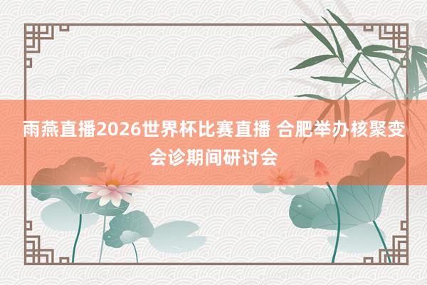 雨燕直播2026世界杯比赛直播 合肥举办核聚变会诊期间研讨会