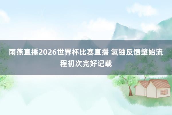 雨燕直播2026世界杯比赛直播 氢铀反馈肇始流程初次完好记载