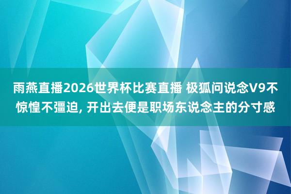 雨燕直播2026世界杯比赛直播 极狐问说念V9不惊惶不彊迫, 开出去便是职场东说念主的分寸感