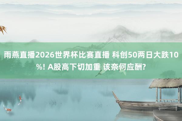 雨燕直播2026世界杯比赛直播 科创50两日大跌10%! A股高下切加重 该奈何应酬?
