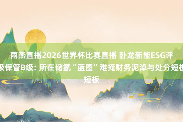 雨燕直播2026世界杯比赛直播 卧龙新能ESG评级保管B级: 所在储氢“蓝图”难掩财务泥淖与处分短板