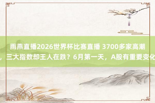 雨燕直播2026世界杯比赛直播 3700多家高潮，三大指数却王人在跌？6月第一天，A股有重要变化