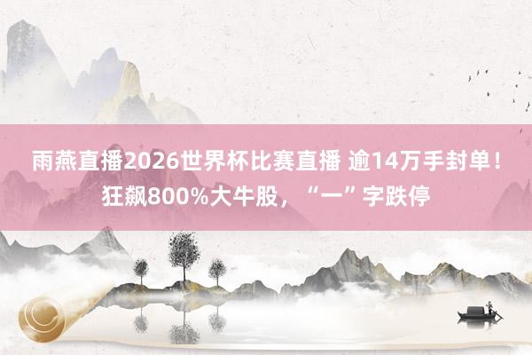 雨燕直播2026世界杯比赛直播 逾14万手封单！狂飙800%大牛股，“一”字跌停