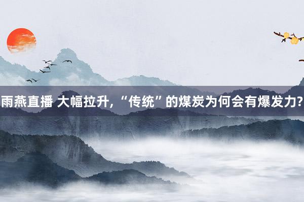 雨燕直播 大幅拉升, “传统”的煤炭为何会有爆发力?