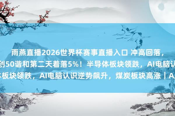 雨燕直播2026世界杯赛事直播入口 冲高回落，四大股指集体收跌，科创50谐和第二天着落5%！半导体板块领跌，AI电脑认识逆势飙升，煤炭板块高涨｜A股收盘