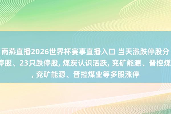 雨燕直播2026世界杯赛事直播入口 当天涨跌停股分析: 166只涨停股、23只跌停股, 煤炭认识活跃, 兖矿能源、晋控煤业等多股涨停
