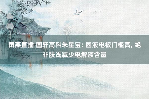 雨燕直播 国轩高科朱星宝: 固液电板门槛高, 绝非肤浅减少电解液含量