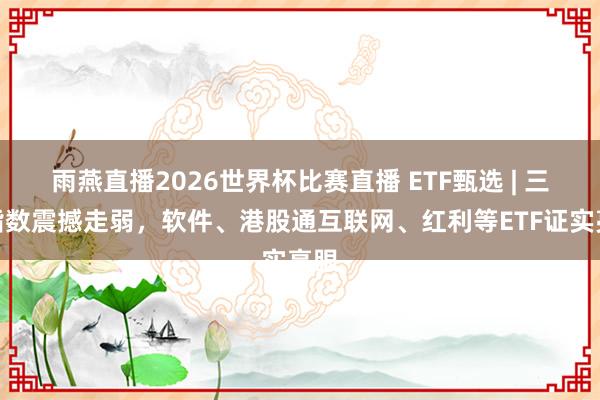 雨燕直播2026世界杯比赛直播 ETF甄选 | 三大指数震撼走弱，软件、港股通互联网、红利等ETF证实亮眼