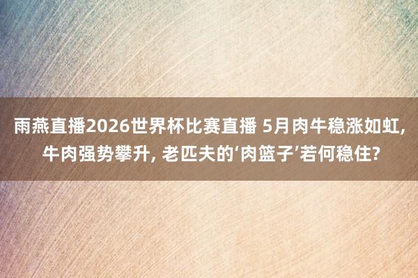 雨燕直播2026世界杯比赛直播 5月肉牛稳涨如虹, 牛肉强势攀升, 老匹夫的‘肉篮子’若何稳住?