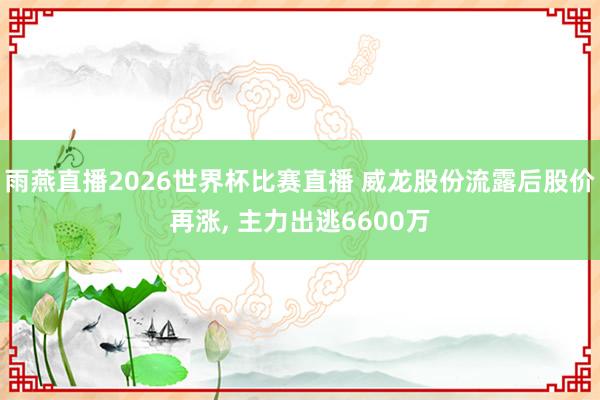 雨燕直播2026世界杯比赛直播 威龙股份流露后股价再涨, 主力出逃6600万