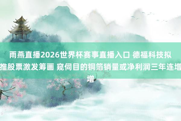 雨燕直播2026世界杯赛事直播入口 德福科技拟推股票激发筹画 窥伺目的铜箔销量或净利润三年连增