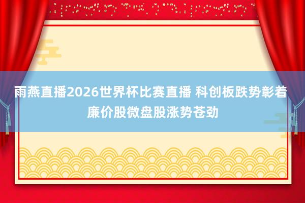 雨燕直播2026世界杯比赛直播 科创板跌势彰着 廉价股微盘股涨势苍劲