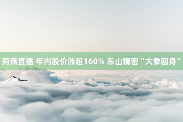 雨燕直播 年内股价涨超160% 东山精密“大象回身”