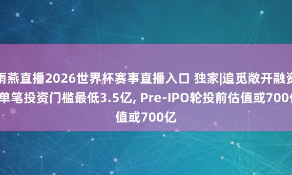 雨燕直播2026世界杯赛事直播入口 独家|追觅敞开融资, 单笔投资门槛最低3.5亿, Pre-IPO轮投前估值或700亿