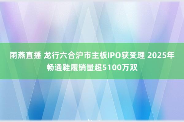 雨燕直播 龙行六合沪市主板IPO获受理 2025年畅通鞋履销量超5100万双