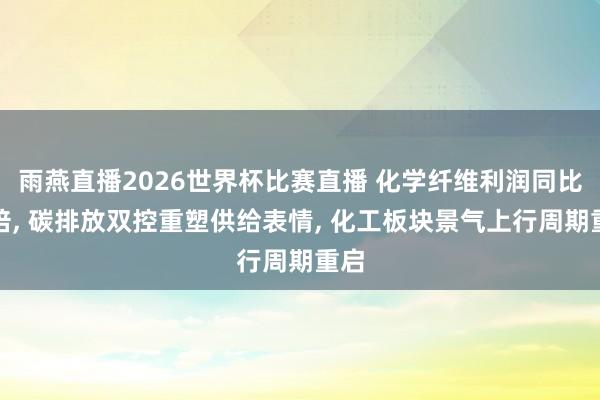 雨燕直播2026世界杯比赛直播 化学纤维利润同比翻倍, 碳排放双控重塑供给表情, 化工板块景气上行周期重启
