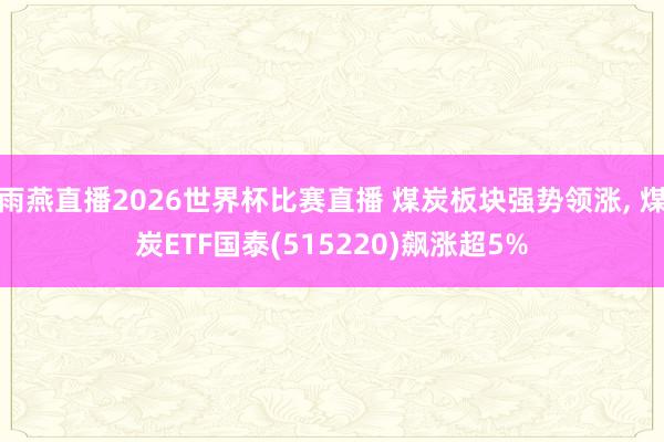 雨燕直播2026世界杯比赛直播 煤炭板块强势领涨, 煤炭ETF国泰(515220)飙涨超5%