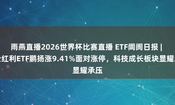 雨燕直播2026世界杯比赛直播 ETF阛阓日报 | 国企红利ETF鹏扬涨9.41%面对涨停，科技成长板块显耀承压