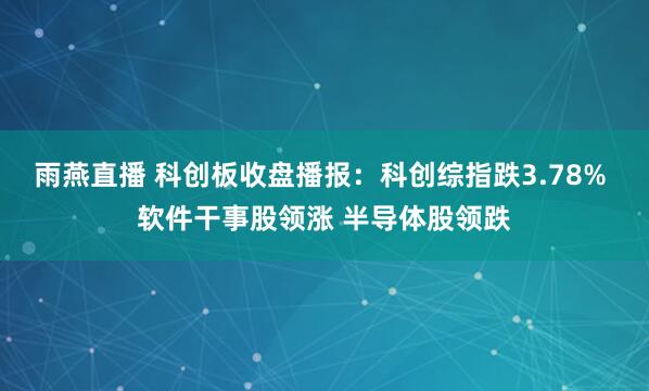 雨燕直播 科创板收盘播报：科创综指跌3.78% 软件干事股领涨 半导体股领跌