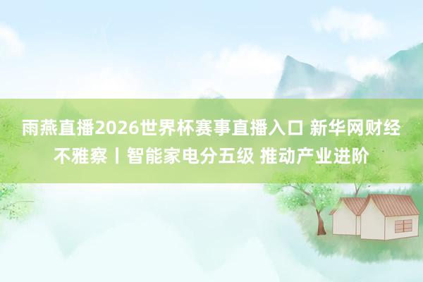 雨燕直播2026世界杯赛事直播入口 新华网财经不雅察丨智能家电分五级 推动产业进阶