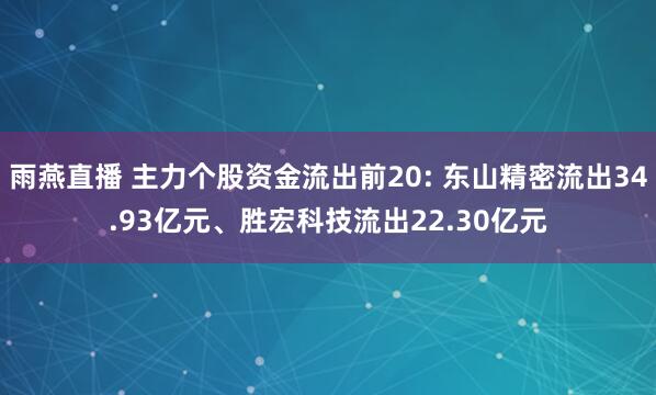 雨燕直播 主力个股资金流出前20: 东山精密流出34.93亿元、胜宏科技流出22.30亿元