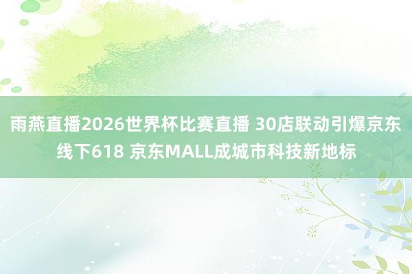 雨燕直播2026世界杯比赛直播 30店联动引爆京东线下618 京东MALL成城市科技新地标