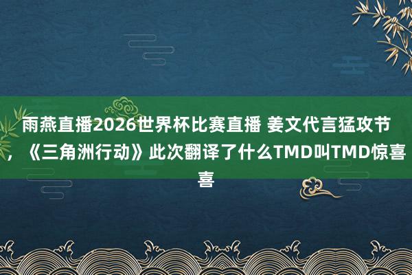 雨燕直播2026世界杯比赛直播 姜文代言猛攻节，《三角洲行动》此次翻译了什么TMD叫TMD惊喜