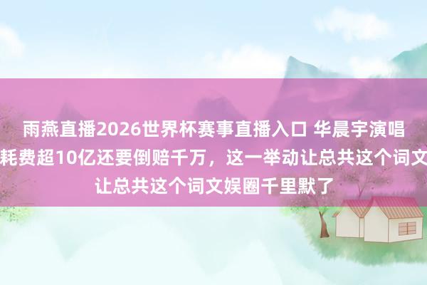 雨燕直播2026世界杯赛事直播入口 华晨宇演唱会突遭叫停，耗费超10亿还要倒赔千万，这一举动让总共这个词文娱圈千里默了