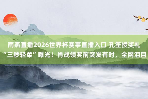 雨燕直播2026世界杯赛事直播入口 孔笙授奖礼“三秒轻柔”曝光！肖战领奖前突发有时，全网泪目