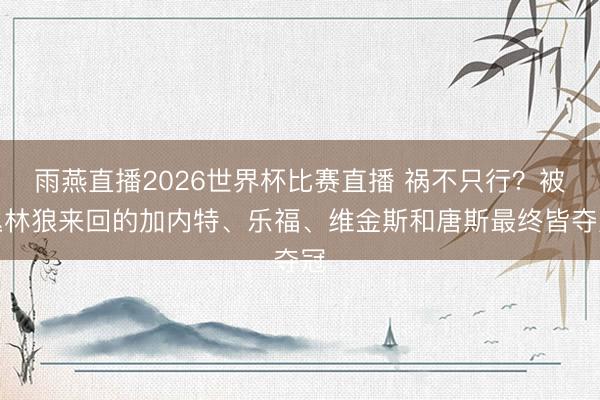 雨燕直播2026世界杯比赛直播 祸不只行？被丛林狼来回的加内特、乐福、维金斯和唐斯最终皆夺冠