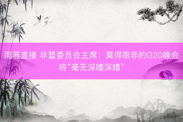 雨燕直播 非盟委员会主席：莫得南非的G20峰会将“毫无深嗜深嗜”