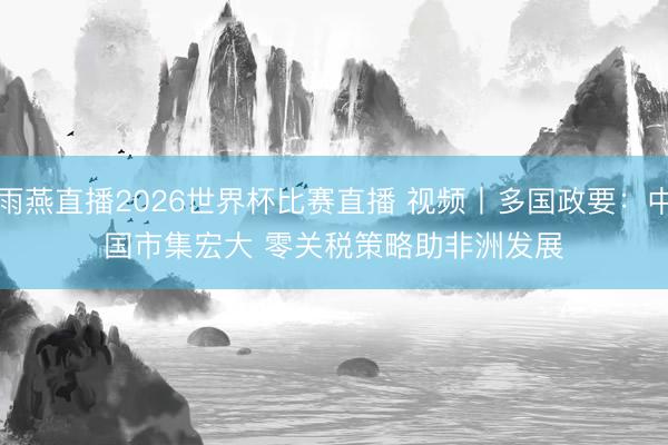 雨燕直播2026世界杯比赛直播 视频丨多国政要：中国市集宏大 零关税策略助非洲发展