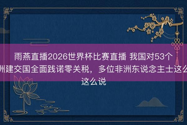雨燕直播2026世界杯比赛直播 我国对53个非洲建交国全面践诺零关税，多位非洲东说念主士这么说