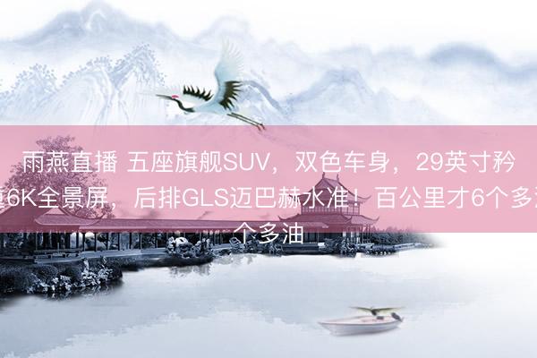 雨燕直播 五座旗舰SUV，双色车身，29英寸矜重6K全景屏，后排GLS迈巴赫水准！百公里才6个多油