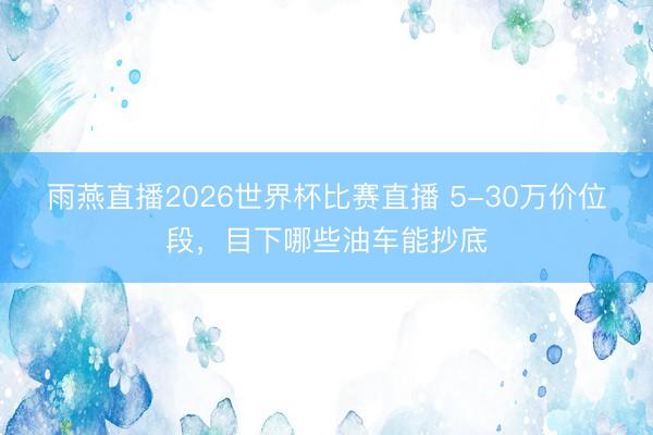 雨燕直播2026世界杯比赛直播 5-30万价位段，目下哪些油车能抄底