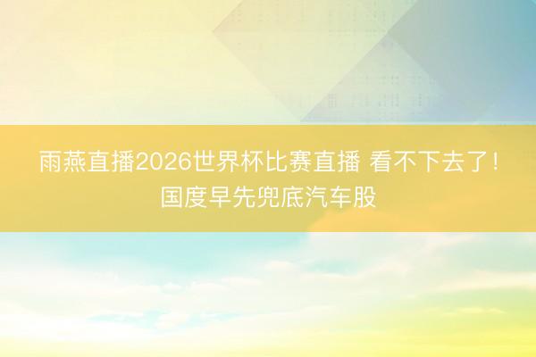 雨燕直播2026世界杯比赛直播 看不下去了！国度早先兜底汽车股