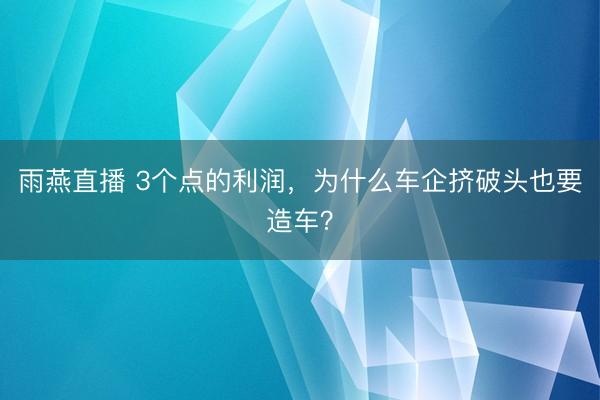 雨燕直播 3个点的利润，为什么车企挤破头也要造车？