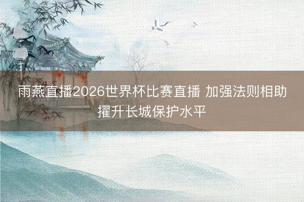 雨燕直播2026世界杯比赛直播 加强法则相助擢升长城保护水平
