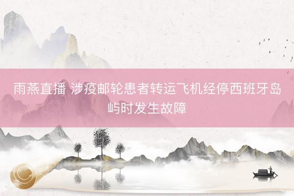 雨燕直播 涉疫邮轮患者转运飞机经停西班牙岛屿时发生故障