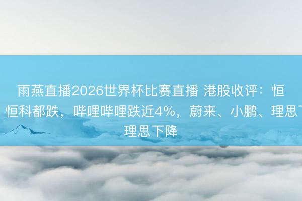 雨燕直播2026世界杯比赛直播 港股收评：恒指、恒科都跌，哔哩哔哩跌近4%，蔚来、小鹏、理思下降