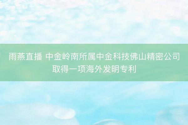 雨燕直播 中金岭南所属中金科技佛山精密公司取得一项海外发明专利