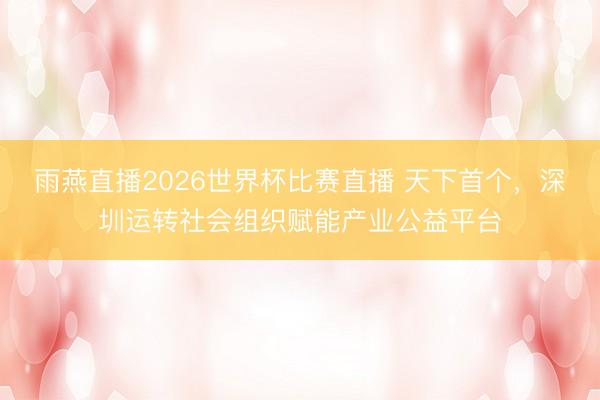 雨燕直播2026世界杯比赛直播 天下首个，深圳运转社会组织赋能产业公益平台